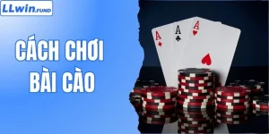 Cách Chơi Bài Cào - Kiến Thức Cần Nắm Để Thắng Trò Chơi