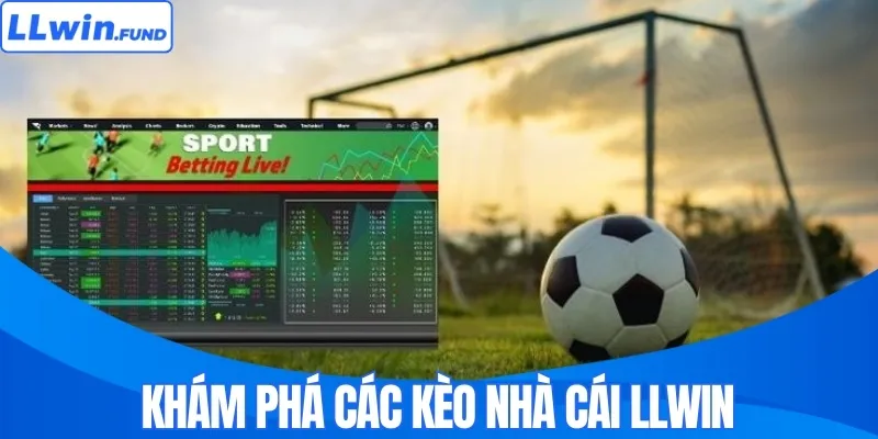 Khám phá các kèo nhà cái LLWIN